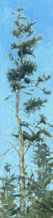 CRISTA PISANO Skyward by Crista Pisano at Sylvan Gallery