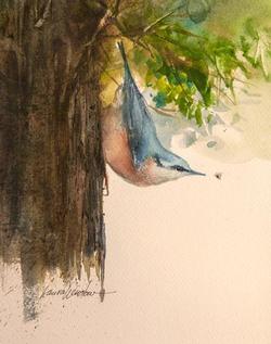 LAURA WINSLOW Nuthatch by Laura Winslow at Sylvan Gallery