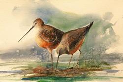 LAURA WINSLOW Red Knots by Laura Winslow at Sylvan Gallery